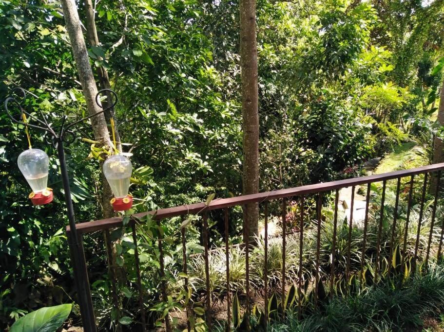 Eco Villas Tambor Tucanes Kültér fotó