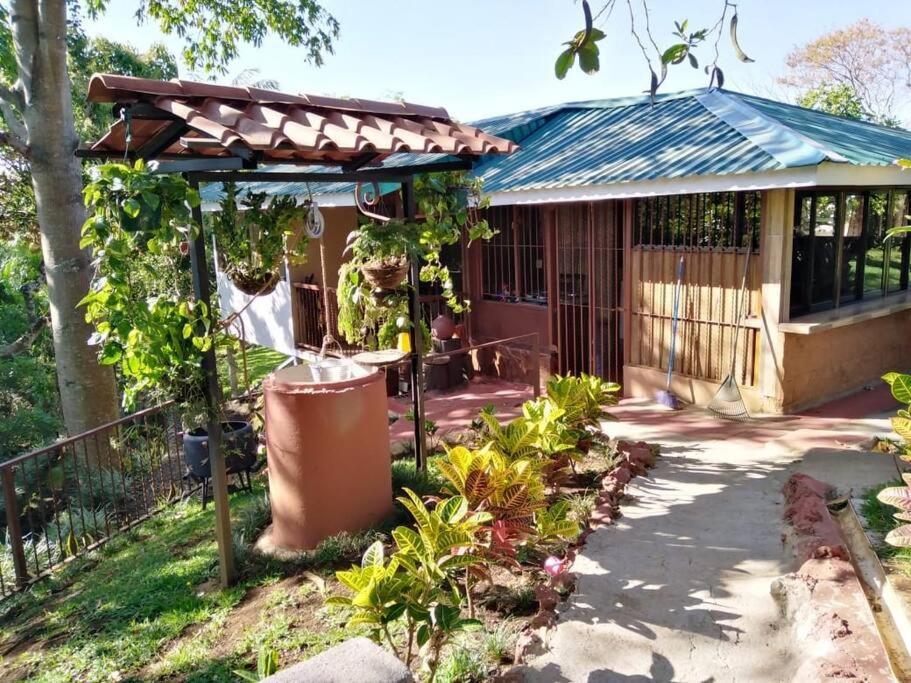 Eco Villas Tambor Tucanes Kültér fotó