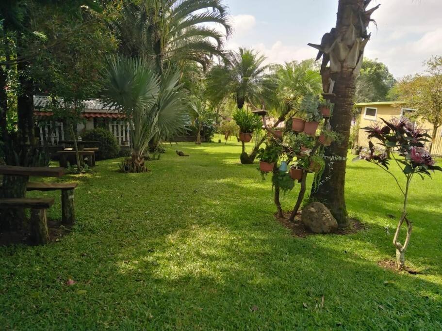 Eco Villas Tambor Tucanes Kültér fotó