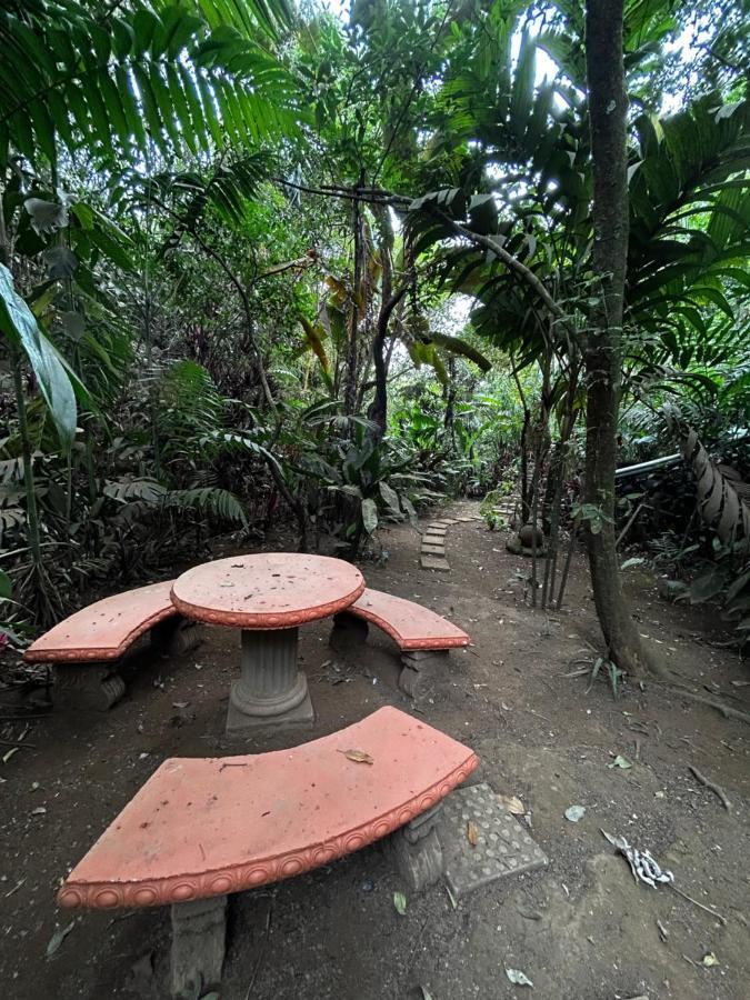 Eco Villas Tambor Tucanes Kültér fotó