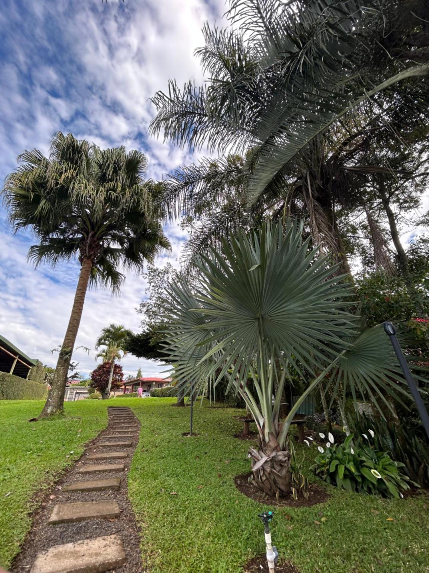 Eco Villas Tambor Tucanes Kültér fotó
